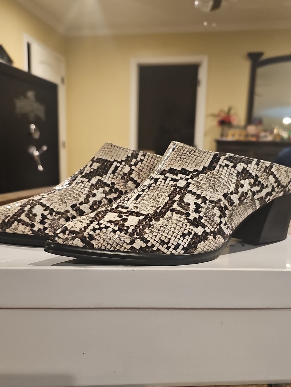 Midnight Velvet Snake-Print Slip-On Mules in Black and Cream